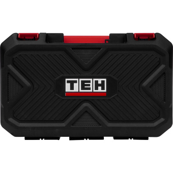 Шуруповерт аккум.TEH TDBL316-2B( 16,8 V,50Нм.патрон 10 мм.. 2 шт. Акб 2 Ач, ЗУ, кейс)