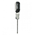 Torx