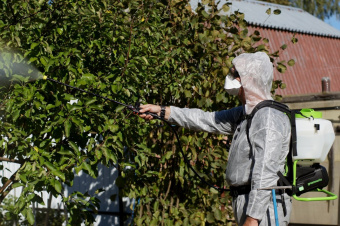 Опрыскиватель Greenworks G24BPSII  5300307UA