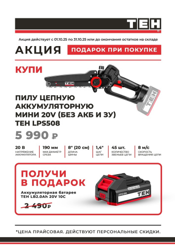 Аккумулятор в подарок при покупке мини пилы TEH LPS508 20V