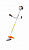 Бензокоса STIHL FS-55 GSB 